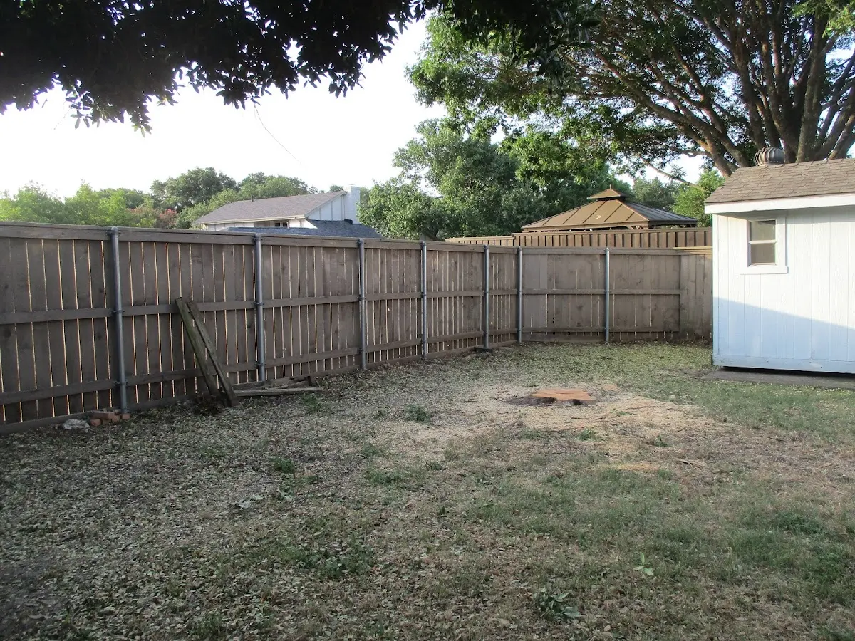 Cleared yard after professional tree removal in Saint Gabriel