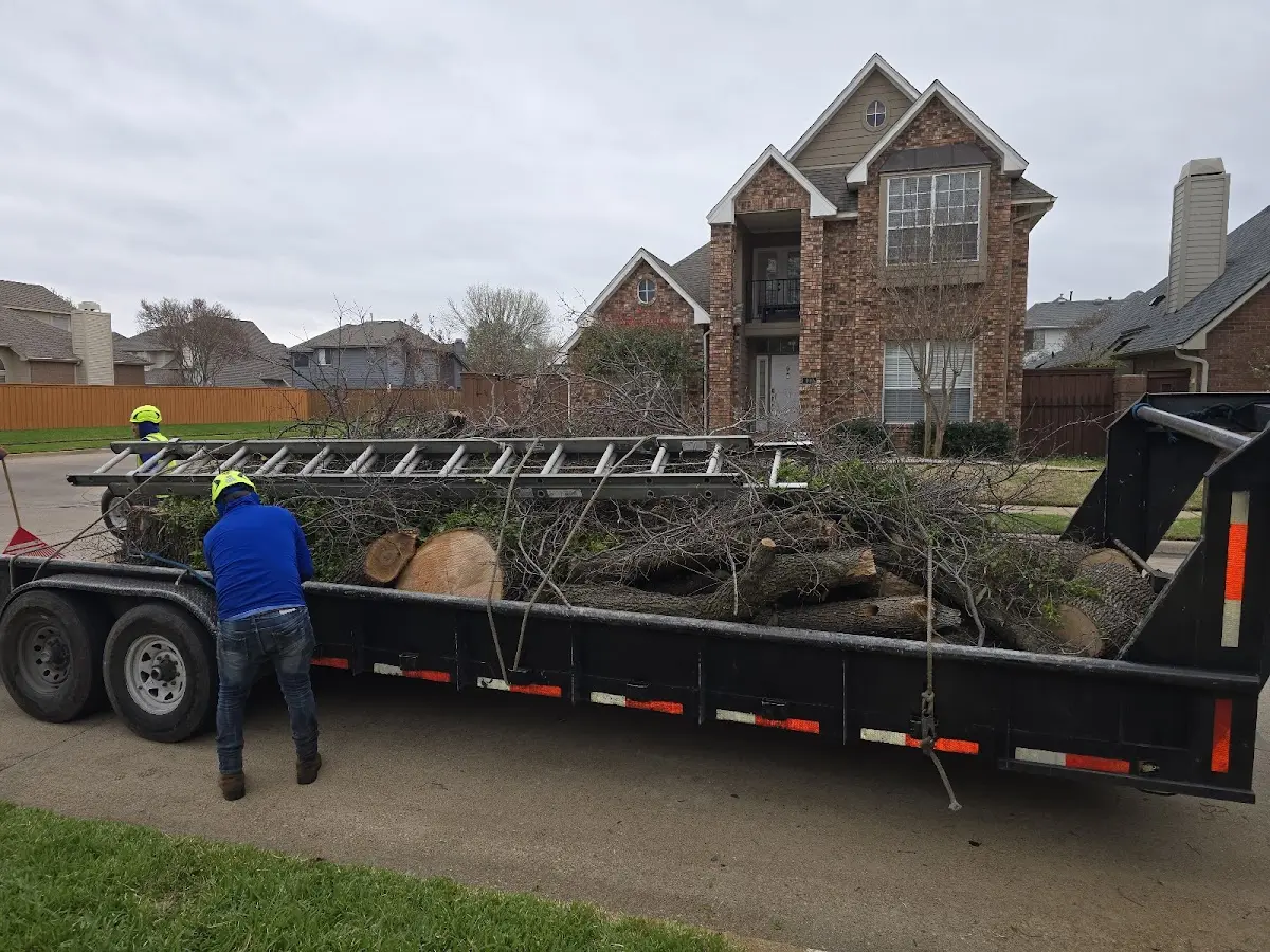 Expert Tree Pest Control with proper safety equipment in Saint Gabriel